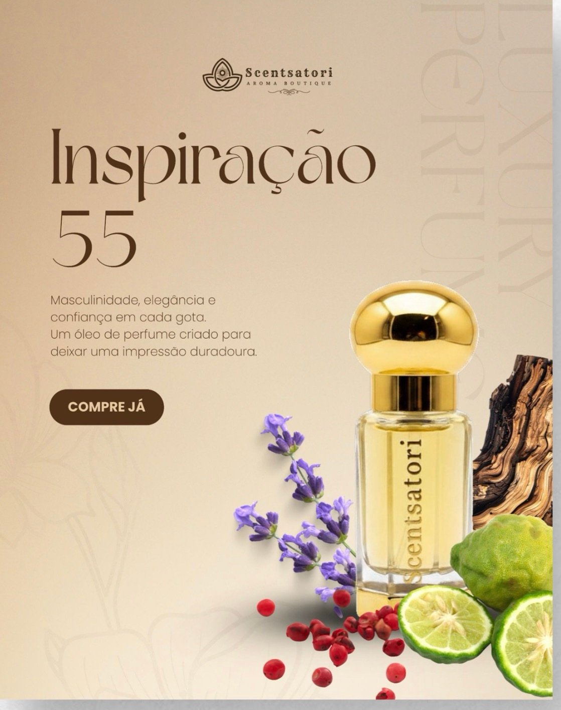 Inspiração 55